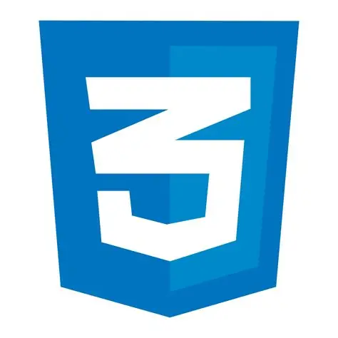 CSS3 logo